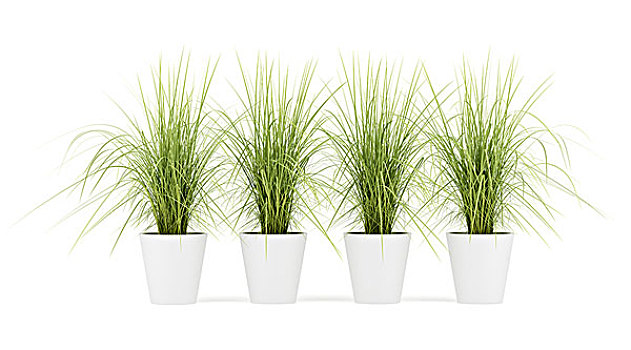 显示器显示颜色不正常的故障