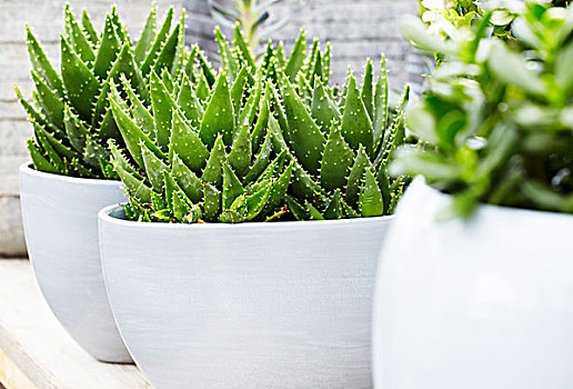 RGB梦碎 Galaxy S III屏幕“分解”