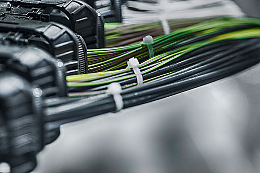 唐艺昕、赖美云等多位爱豆“加盟”海信“双十